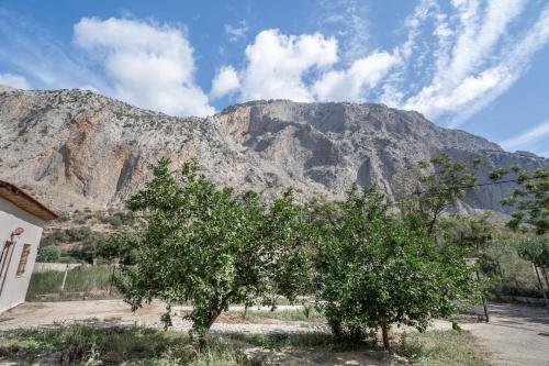 a tree in the foreground with a mountain in the background at Emis house krioneri in Lapanayoí