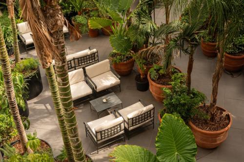 Zahrada ubytování Palazzo Talìa - Small Luxury Hotels of the World
