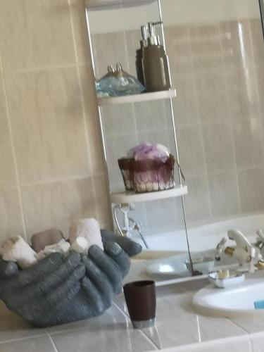 a bathroom sink with two gloves on a counter at Le Chandelier in Saint-Joseph