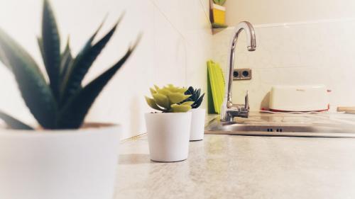 a kitchen counter with two potted plants and a sink at L'Essència de l'Empordà -Girona-COSTA BRAVA in Verges