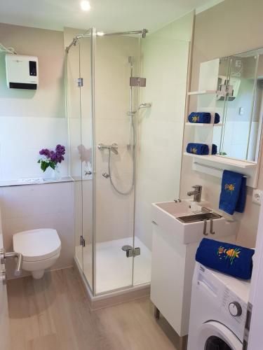 a bathroom with a shower and a toilet and a sink at Haus Wellenrauschen in Zingst