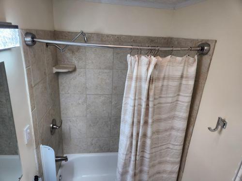 a bathroom with a shower curtain and a tub at Amazing DC Home Away From Home in Washington, D.C.