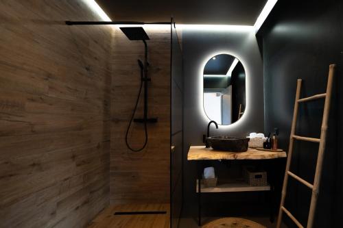 a bathroom with a shower with a sink and a mirror at Balada dintre dealuri - Casa Soarelui si Casa Lunii in Cisnadioara
