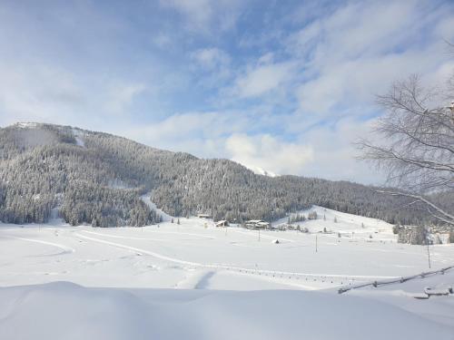 a snow covered field with a mountain in the background at Ferienhaus Schäfer - Apartments - Wintersports - Family holiday - Holiday with your dog - Rural & Scenic in Flattnitz