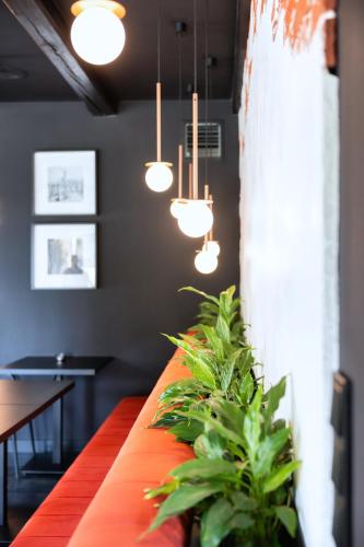 a dining room table with potted plants on it at Anaberg in Nowa Ruda
