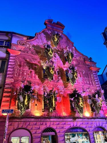 Appartement Strasbourg Centre