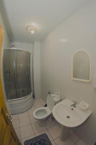 a bathroom with a shower and a toilet and a sink at Едельвейс-Будапешт in Yasinya