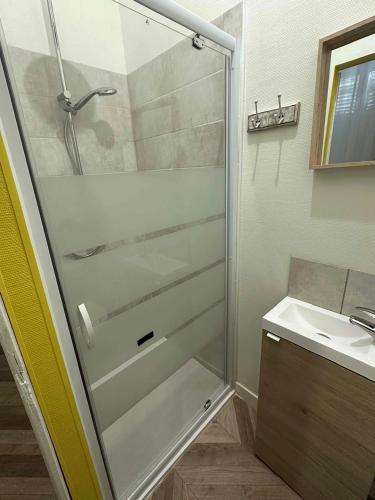 une douche en verre dans une salle de bain avec un lavabo dans l'établissement L'élégant - Gare Centre - 2 Pers, au Mans