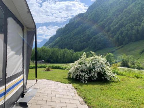 a train parked in a field with a bush at Revier caravan-ig und cool in Hätzingen