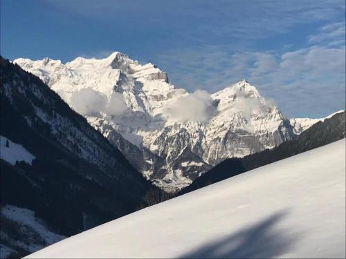 Gallery image of Revier hike to Herrenegg in Engi