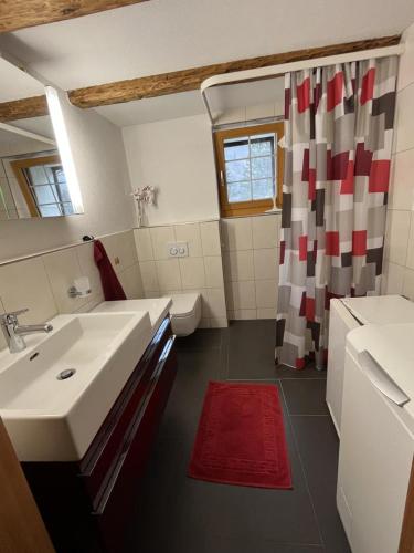 Un baño con lavabo y cortina de ducha. en Revier Fuchs und Has, en Sool