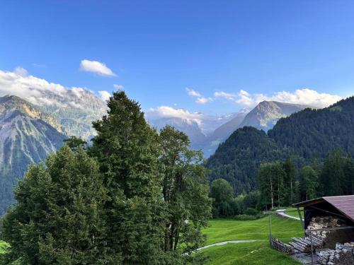 a view of a valley with mountains and a road at Revier le bijou in Braunwald