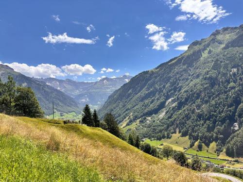Gallery image of Revier hike to Herrenegg in Engi
