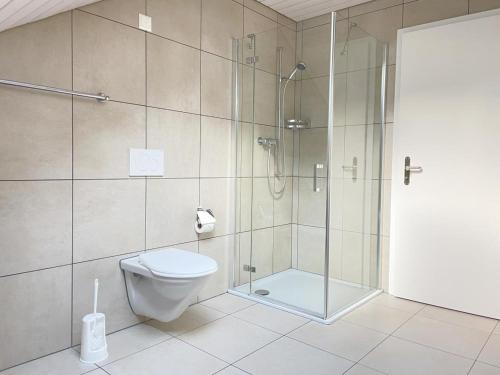 HätzingenにあるRevier Attika im Hazzoのバスルーム(ガラス張りのシャワー、トイレ付)