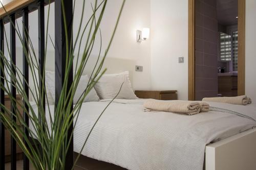 Beautiful studio in Miraflores