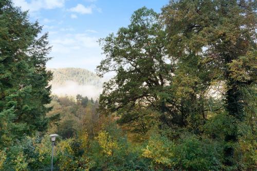 a view of a forest with trees and a mountain at Kaffeehof 3 - 4 Einzelbetten in Bad Liebenzell