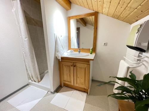 une salle de bain avec un lavabo et un miroir dans l'établissement Chalet Margot 20, à Saint-Étienne-en-Dévoluy