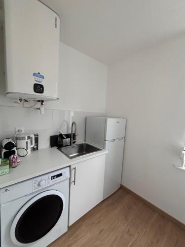 une cuisine avec une machine à laver et un évier dans l'établissement Charmant 2 pièces rénové, à Strasbourg