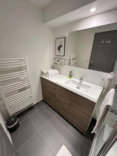 une salle de bain avec un lavabo et un grand miroir dans l'établissement LE DOUILLET - Parking gratuit - Centre ville, à Pau