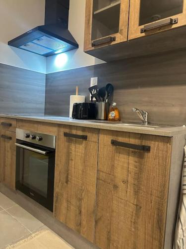 une cuisine avec un évier et une cuisinière dans l'établissement Loco Parc Duplex, à Dijon