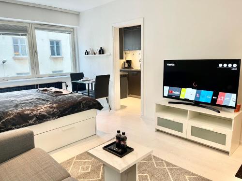 sala de estar con cama y TV de pantalla plana en Puma's central flat 2 in Helsinki, en Helsinki