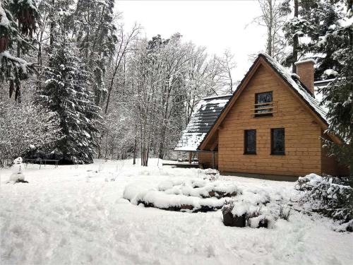 a house is covered in snow in a yard at Chata Eva in Planá nad Lužnicí
