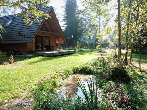 a log cabin with a pond in the yard at Chata Eva in Planá nad Lužnicí