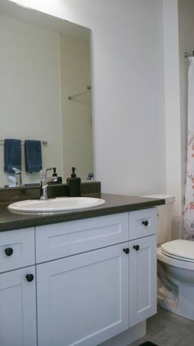 a bathroom with a white sink and a toilet at Spacious 3 Bdrm Retreat, Muskoka Room & Fireplace in Bracebridge