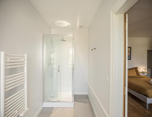 une chambre avec une douche en verre et un lit dans l'établissement Suzanne 3 - Chambre Privée - Confort - Hypercentre, à Troyes