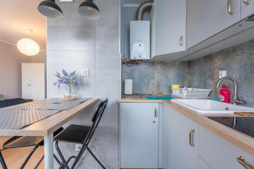 Kuchyňa alebo kuchynka v ubytovaní Apartament Centrum 32m2 Kłodzko - Przyjaciół Ziemi Kłodzkiej