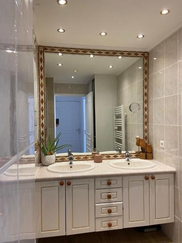 une salle de bain avec deux lavabos et un grand miroir dans l'établissement T3 pièces lumineux à à 1 min de la plage Quartier Palm Beach Cannes, à Cannes