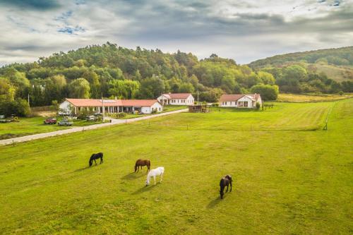 Bánvölgye Vendégház és Apartmanok