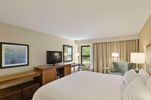 a hotel room with a bed and a television at Hampton Inn Mount Dora in Mount Dora