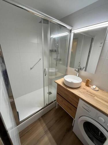 une salle de bain avec douche et lavabo et une machine à laver dans l'établissement Appart Cosy au centre du village, à Saint-Lary-Soulan