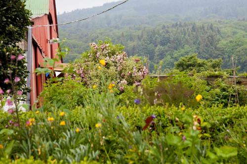 a garden with flowers in front of a red building at Ballyknocken Milking Parlour Self Catering Apartment in Coolnakilly