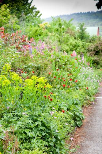 a garden filled with lots of different colored flowers at Ballyknocken Milking Parlour Self Catering Apartment in Coolnakilly