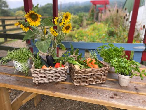 three baskets of vegetables sitting on a wooden table at Ballyknocken Milking Parlour Self Catering Apartment in Coolnakilly