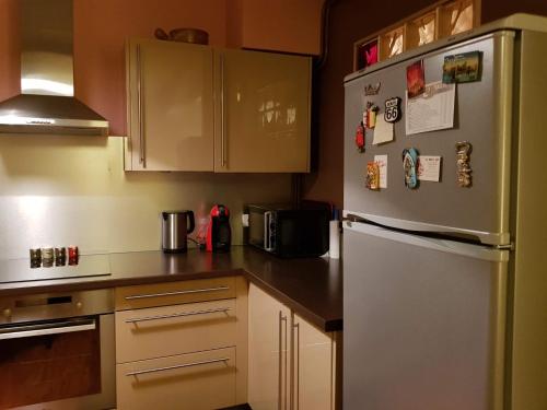 Il comprend une cuisine équipée d'un réfrigérateur avec des aimants. dans l'établissement Appartement de l'Étoile, au Mans