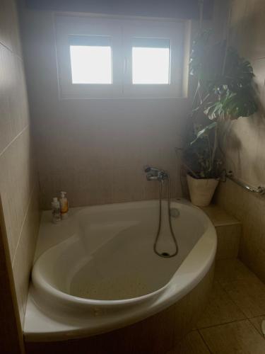 a bath tub in a bathroom with a window at Alojamento Local Casa Veras in Vila Real