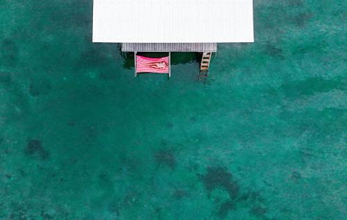 Fotografija v galeriji nastanitve The Sea Monkey v mestu Bocas Town