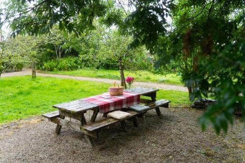a picnic table with a basket of flowers on it at Burren Court Lodge in Ballyvaughan