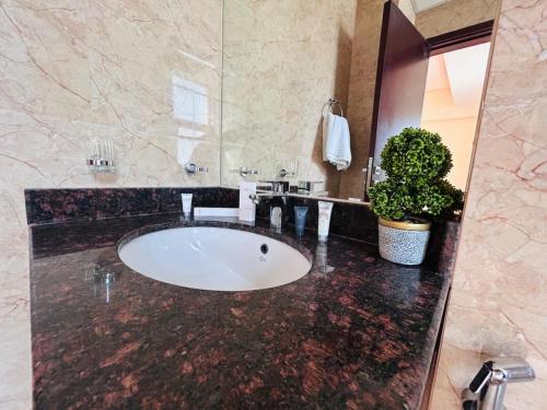 a bathroom with a large sink with a potted plant at Aspire Tower - Two Bedroom Sunny Staycation in Manama