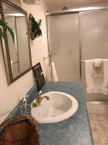 a bathroom with a sink and a shower at Charming Farmhouse in the City, Near Wine Country in Belleville