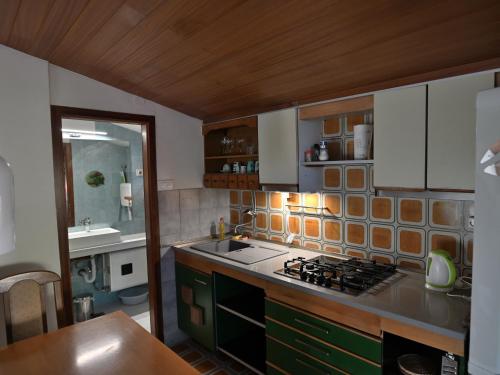 Kuchyňa alebo kuchynka v ubytovaní Apartments Mako