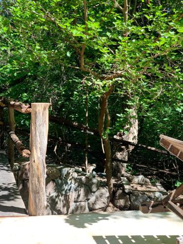 Φυσικό τοπίο κοντά σε αυτό το σαλέ