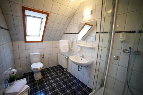 a bathroom with a toilet and a sink and a shower at Captain Pahlen Ferienanlage in Zingst