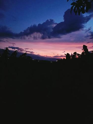 a sunset over a field with trees in the foreground at Cabañas la Miranda in Filandia