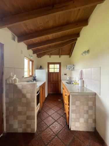 kuchnia ze zlewem i lodówką w obiekcie Cabaña Cordón Situación w mieście Trevelín