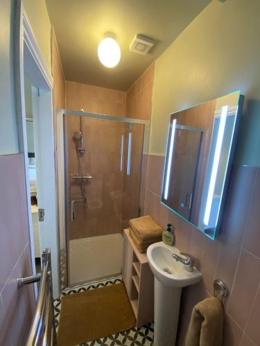 a bathroom with a shower and a sink at Fern House in Cork