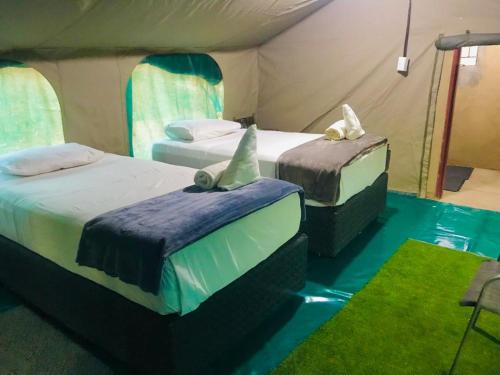 Katil atau katil-katil dalam bilik di Hippo Paradise Lodge and Campsites